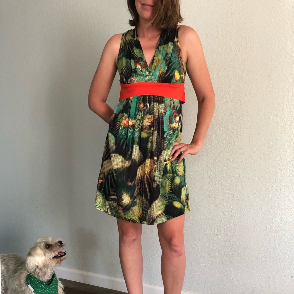 Eva Franco Anthropologie dress. Cactus print